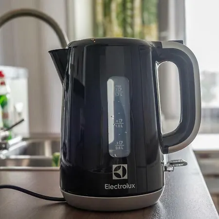 公寓 Citycenter With Sauna