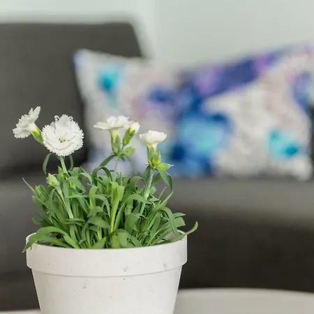 Citycenter With Sauna 米凯利