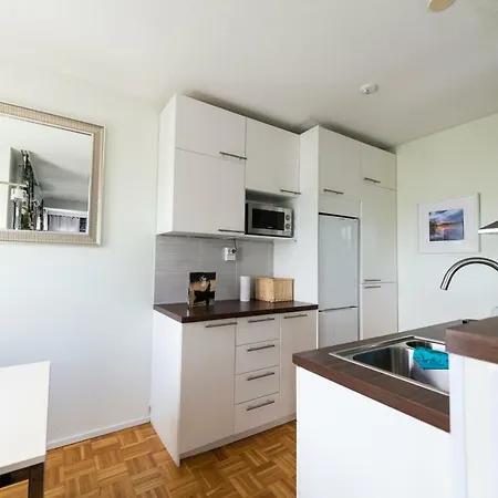 Apartment Citycenter With Sauna *